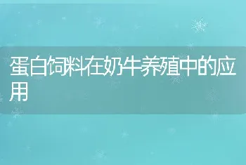 蛋白饲料在奶牛养殖中的应用