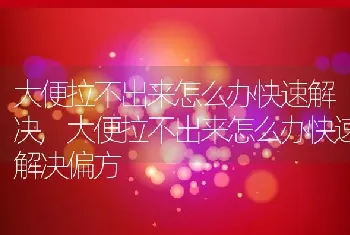 大便拉不出来怎么办快速解决，大便拉不出来怎么办快速解决偏方