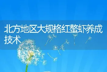 北方基地草坪病害原因及防治