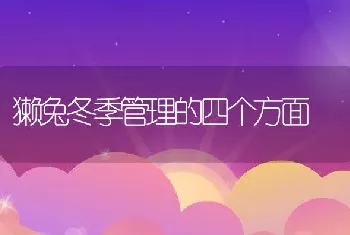 獭兔冬季管理的四个方面