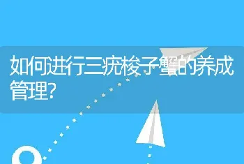 如何进行三疣梭子蟹的养成管理？