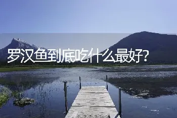 花泥用什么水泡鲜花更持久？