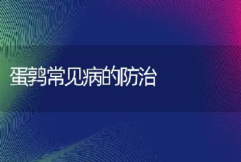 蛋鹑常见病的防治