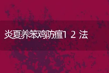 炎夏养笨鸡防瘟12法