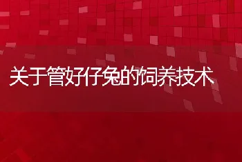 关于管好仔兔的饲养技术