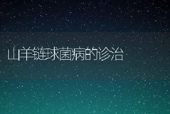 山羊链球菌病的诊治