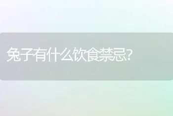 兔子有什么饮食禁忌？