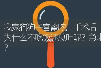 生化8苍蝇拍什么梗？