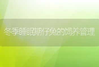 冬季睡眠期仔兔的饲养管理