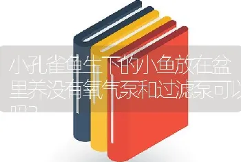 小孔雀鱼生下的小鱼放在盆里养没有氧气泵和过滤泵可以吗？