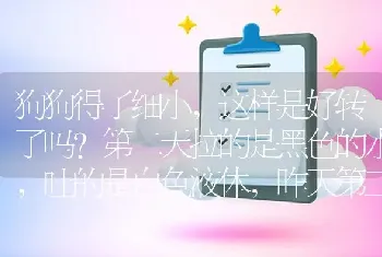 狗狗得了细小，这样是好转了吗?第二天拉的是黑色的水，吐的是白色液体，昨天第三天，没啦，但吐的是黄色？