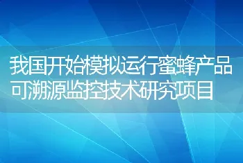 我国开始模拟运行蜜蜂产品可溯源监控技术研究项目