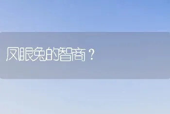 凤眼兔的智商？