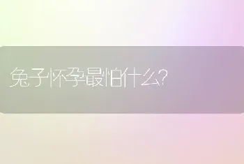 养火焰龟放多少水合适？