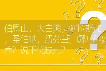 伯恩山，大白熊，阿拉斯加，圣伯呐，纽芬兰，哪几种好养?说下优缺点？