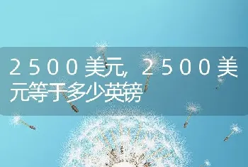 2500美元，2500美元等于多少英镑