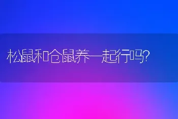 松鼠和仓鼠养一起行吗？