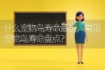 什么宠物鸟寿命最长，常见宠物鸟寿命盘点？