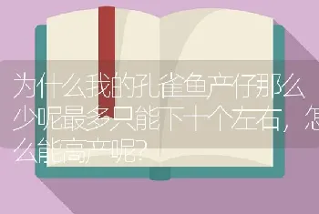 为什么我的孔雀鱼产仔那么少呢最多只能下十个左右，怎么能高产呢？