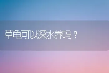 草龟可以深水养吗？