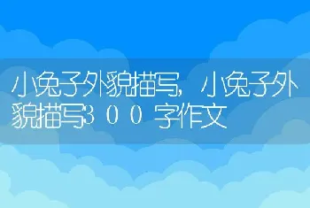 狼的祖先是谁，黄鼠狼的祖先是谁