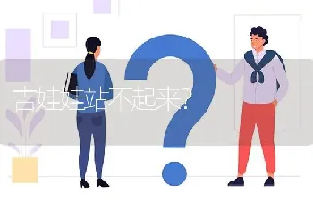 吉娃娃站不起来？