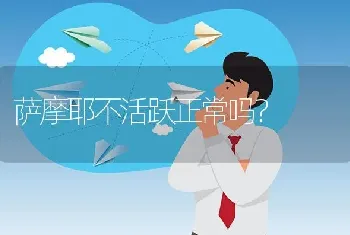 萨摩耶不活跃正常吗？