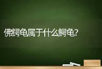 佛鳄龟属于什么鳄龟？