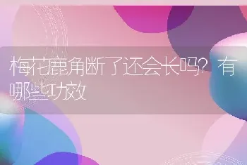 梅花鹿角断了还会长吗？有哪些功效