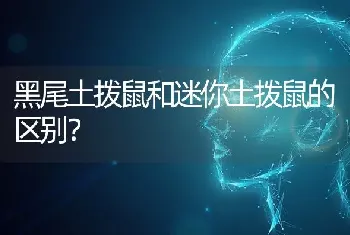 黑尾土拨鼠和迷你土拨鼠的区别？