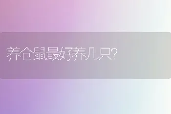 3.5的麝香龟能冬眠嘛？