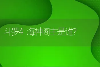 斗罗4海神阁主是谁？