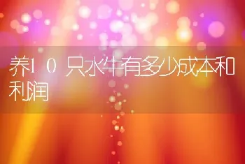 养10只水牛有多少成本和利润