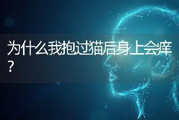 为什么我抱过猫后身上会痒？