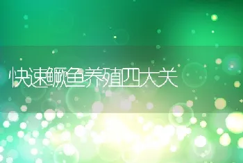 小蜜蜂中百签购销合同 本地特色农产品进超市