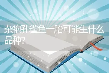 杂袍孔雀鱼一胎可能生什么品种？