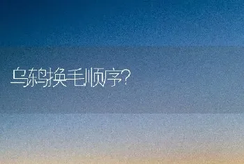 乌鸫换毛顺序？