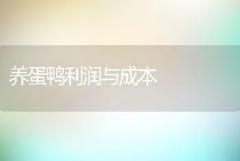 养蛋鸭利润与成本