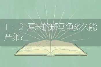 1-2厘米的斑马鱼多久能产卵？