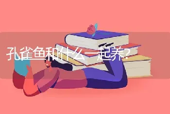 孔雀鱼和什么一起养？