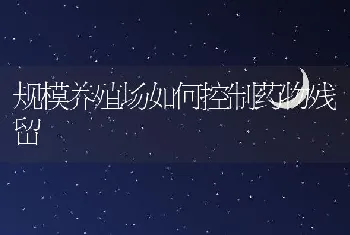 广东湛江高位虾池大改小头造虾养成率飙高