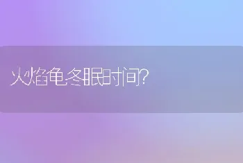 火焰龟冬眠时间？