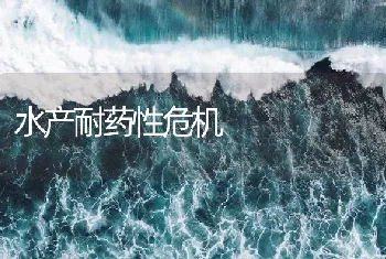 水产耐药性危机