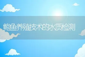 鲍鱼养殖技术的水质检测