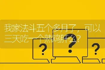 我家法斗五个多月了，可以三天吃一个熟鸡肝么？