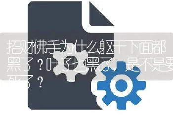 招财佛手为什么躯干下面都黑了？叶子也黑了，是不是要死了？