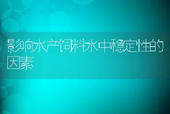 影响水产饲料水中稳定性的因素