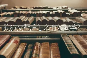 狗狗交配后怎么有效避孕？