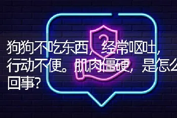 狗狗不吃东西，经常呕吐，行动不便。肌肉僵硬，是怎么回事？