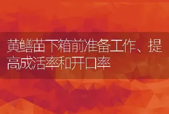 黄鳝苗下箱前准备工作、提高成活率和开口率